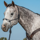 Classic Equine Chain Link Rope Halter