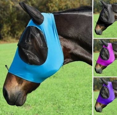 How to Tack a Horse 101 - Complete Guide