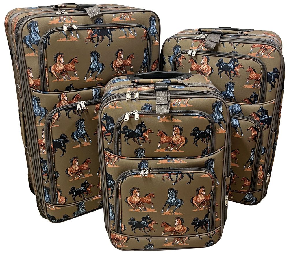 darjeeling limited luggage