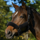 Shires ARMA SupaFleece Halter Set - 6 Piece