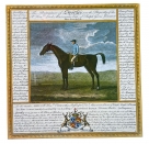 Blank 6 Pack of Cards - Portrait and Pedigree, Sportley Design