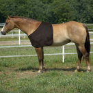 Rugged Ride Satin Shoulder Guard