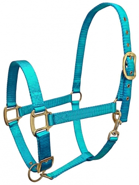 Guardian Premium Nylon Halter: Chicks Discount Saddlery