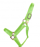 Hamilton Deluxe 1 Inch Nylon Horse Halter - Cosmetic Seconds