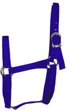 Purple 100 to 200-Pound Hamilton 3/4-Inch Nylon Quality Horse Halter Foal 