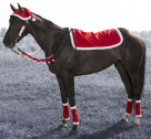 Holiday Horse Santa Western Set