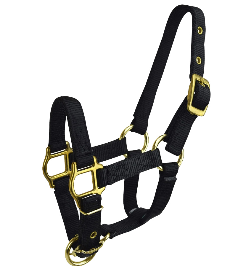 Hamilton Licol Cheval Nylon 1 Pouce – Taille Moyenne (800–1100 Lb) – Marron, Neuf