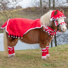 Holiday Mini Sheet - 5 Piece Set