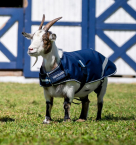 Horseware® Goat Coat Waterproof 900 Denier 100 grams fill - Witney Navy