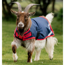 Horseware® Goat Coat Waterproof 900 Denier 200 grams fill - Navy / Red