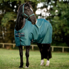 Horseware® Amigo Ripstop 900 Denier Waterproof Turnout Blanket 100 gram - Dynasty Green