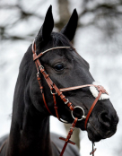 Horze Valencia Figure 8 Bridle With Reins