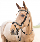 Horze Sparta Hunter Bridle