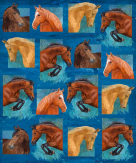 Sport Horses Throw Blanket