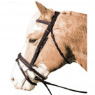 Legacy Padded Raised Bridle with Flash Noseband and Laced Reins