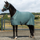 LeMieux Arika Jersey-Tek Fleece Dress Sheet - Aloe