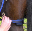 Weatherbeeta Padded Leg Straps - Pair