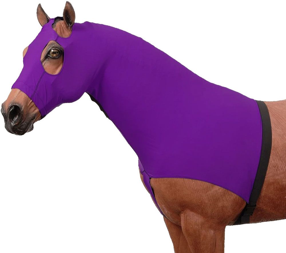 The new style has arrived Large Eye Holes Chicks Saddlery Horse Hood