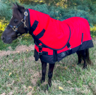 Showman Mini/Foal 1200 Denier Waterproof Turnout Blanket - Detachable Neck - 300 Gram Fill