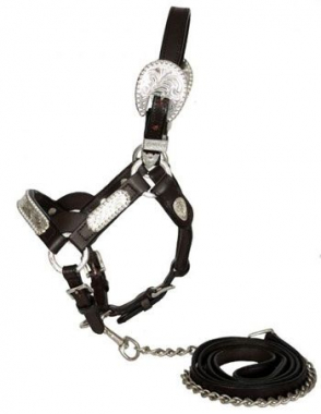 Billy Royal® Scottsdale Classic Show Halter in Western at Schneider