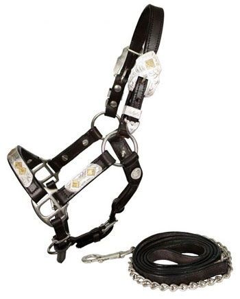 Showman Horse Size Medium Leather Halter with Chain Lead 