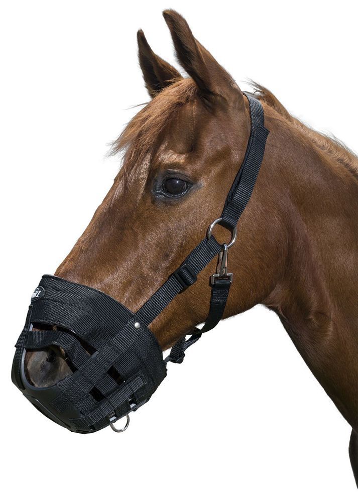 Tough-1 Nylon Grazing Muzzle with Large Holes and Attached Halter Poly/Nylon Web