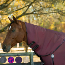 Equinavia Norse Turnout Neck Cover - No Fill