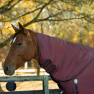 Equinavia Norse Turnout Neck Cover - 200g