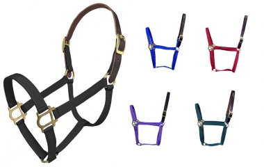 Intrepid Nylon Halter With Leather Breakaway Crown: Chicks Discount ...
