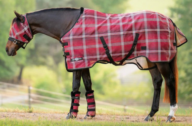 Kensington SureFit 73% UV Horse Protective Fly Sheet: Chicks