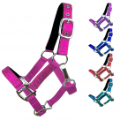 Glitter Pony Halter