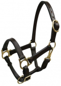 Weanling/Small Pony Premium Leather Halter