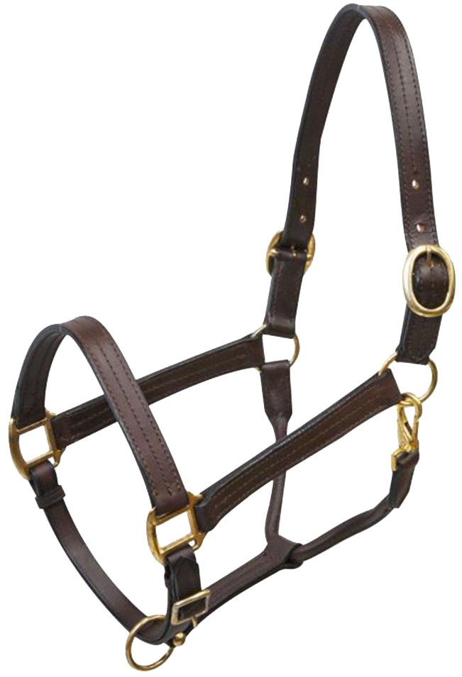 Rugged Ride Popular Leather Sale Halter: Chicks Discount Saddlery