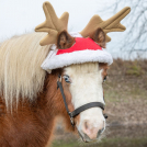 Holiday Mini Horse Reindeer Hat<br>