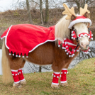 Holiday Mini Reindeer Sheet - 5 Piece Set