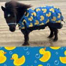 Rugged Ride Duck Bubbles 1200 Denier Heavyweight Adjustable Neck Turnout - 300 Gram Fill - Mini/Pony