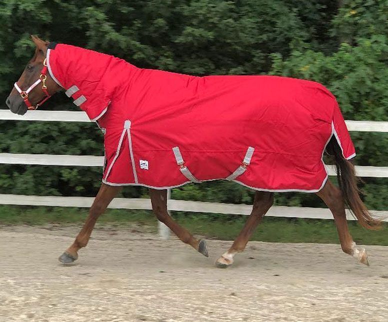 Pet Supplies Horses Blankets Rugged Ride 1200 Denier Midweight Waterproof Turnout Blanket 200