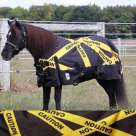 Rugged Ride Caution Tape 1200 Denier Heavyweight Waterproof Turnout Blanket - 300 gram - Mini/Pony