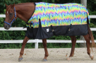 Rugged Ride Rainbow Splash 1200 Denier Heavyweight Turnout Blanket - 300 Grams Fill