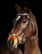 Horze Bergen Remont Leather Bridle