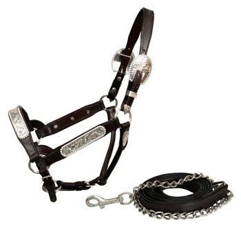 Light Oil Silver Bar Horse Size Show Halter with Matching Lead Shank 