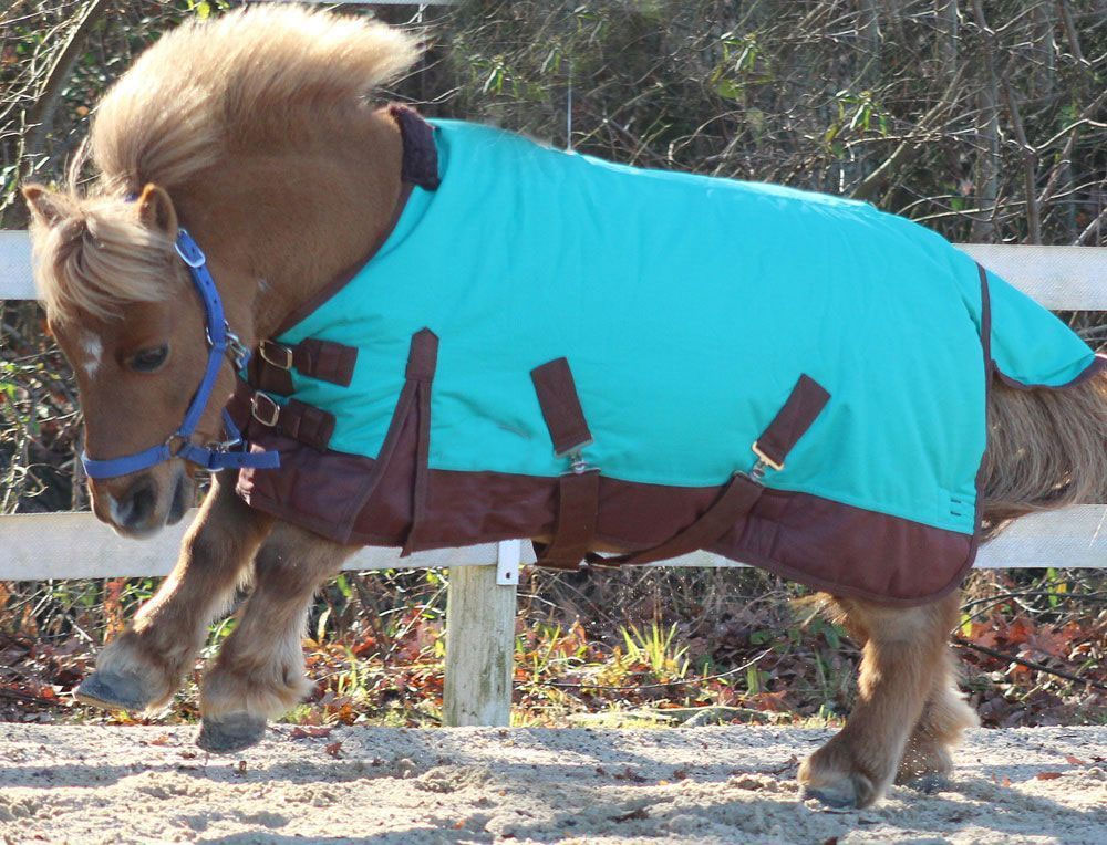 CHALLENGER 1000D Miniature Weanling Donkey Pony Horse Foal Winter Blanket Navy 51966B 