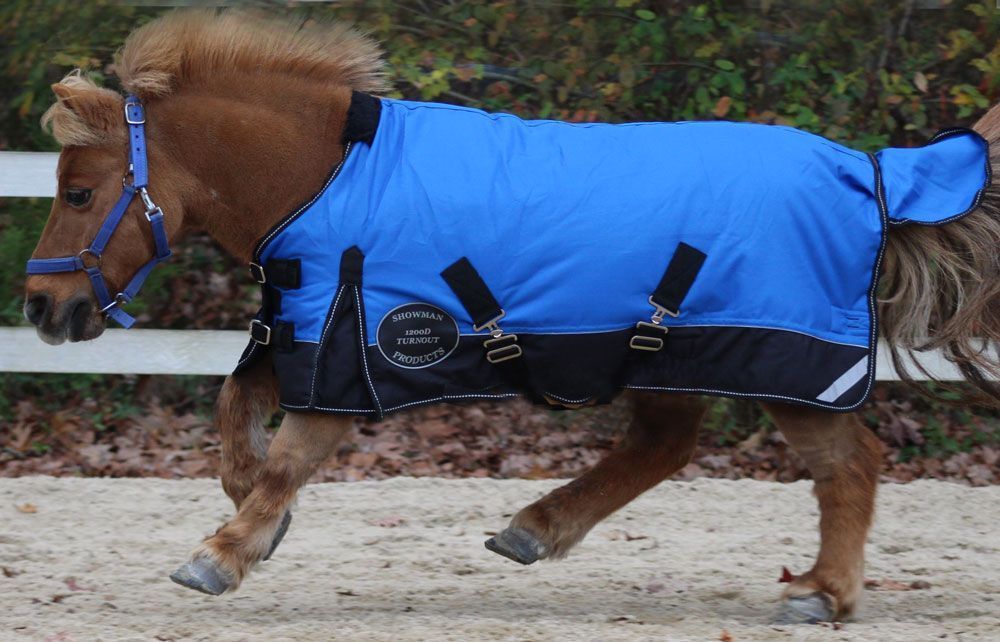 Showman Adjustable 36"-40" 1200 Denier Winter Foal/Mini Horse Blanket 