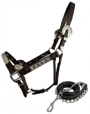 Horse Silver Show Halter Western Pleasure Show Qualité Cuir Souple