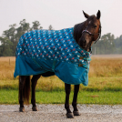 Shires Tempest Original 600 Denier 200g Waterproof Turnout - Balloon Dog