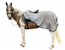 Rugged Ride Lite & Airy Quarter Sheet
