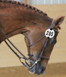 Horze Round Bridle/Halter Show Number Set - Pair