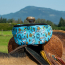 Insulated Nylon Saddle Pak - Turquoise Howdy