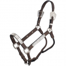 Silver Royal Show Halter with Berry Edge Buckles