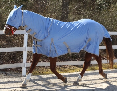 Mini Removable Adjustable Elastic Leg Straps Pair for Horse Blankets &  Sheets